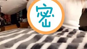 正妹白衣透視…驚見胸前雪乳2黑點　豪放掀開網全嗨翻　（圖／翻攝自Twitter）