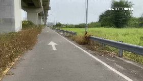 (獨)險遭隨機擄1202