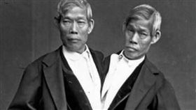 ▲「暹羅雙胞胎」還因此成為連體嬰的代名詞。（圖／翻攝自百度百科）