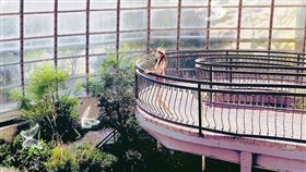 名家專用／台灣旅行趣（勿用）