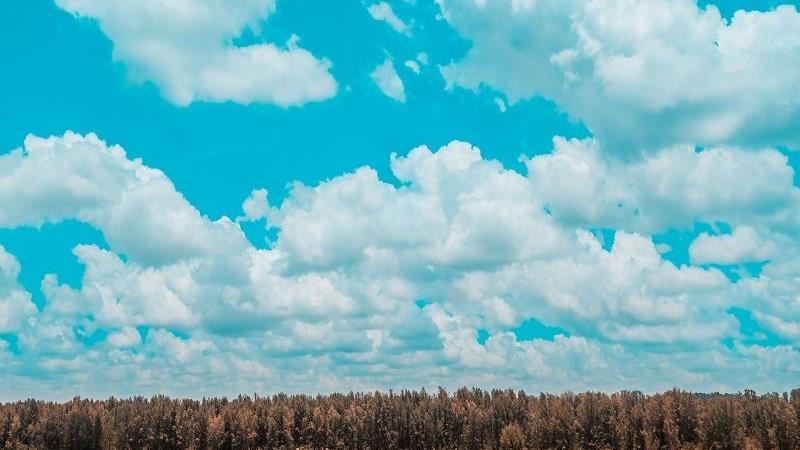 《三十而已》為人母後　成家裡一朵雲