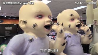 開箱美國萬聖節商店　驚見鬼娃吞蜘蛛