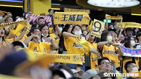 ▲中信兄弟球迷熱情加油。（圖／記者劉彥池攝影）