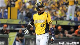 ▲中信兄弟外野手林書逸。（圖／記者劉彥池攝影）