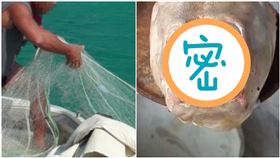 會帶衰？他撒網撈到「人面魚」…一看正面嚇壞：真的好醜（圖／翻攝自推特）