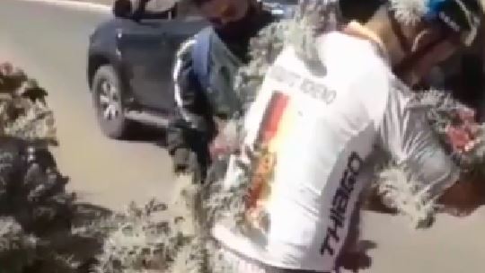 騎車遇坑洞摔倒　男全身慘掛滿仙人掌