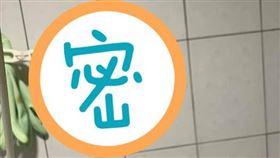 鯊魚夾,馬桶,卡住,鞋帶,黑髮夾