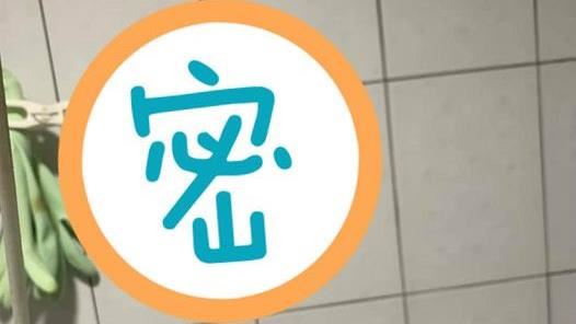 異物塞住馬桶　她用3種東西成功拉出