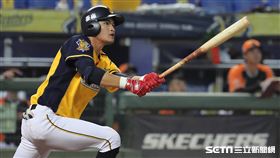 ▲中信兄弟二壘手岳東華敲出2分砲。（圖／記者劉彥池攝影）