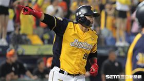 ▲中信兄弟蘇緯達敲出代打3分砲。（圖／記者劉彥池攝影）