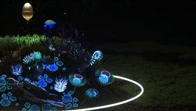 科幻原型實驗創作　核芯樣本思考科技環境共存文化部「科技藝術實驗創新及輔導推動計畫」徵選實驗創新團隊，今年徵件以「科幻原型」為主題，選出3組創新提案，其中「核芯樣本」以土壤、真菌、蕨類、機械、磁力等為取樣，引導思考科技、環境的共存難題。（文化部提供）中央社記者鄭景雯傳真　109年11月1日