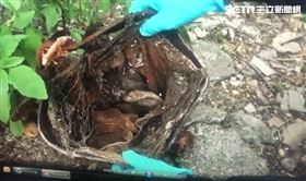 鐵桶 白骨(圖/翻攝畫面)