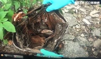 撞鐵桶掉出白骨　前岳母捧6百萬求情