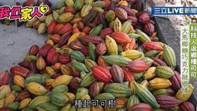 ▲（圖／擷自三立新聞網YT畫面）