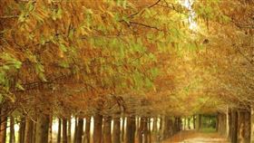 名家專用／台灣旅行趣（勿用）