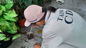 疾管署防疫人員於桃園市龜山區本土登革熱個案活動地，進行孳生源查核。圖／疾病管制署提供