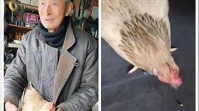 中國,黑龍江,雞,飼料,螺絲釘（圖／翻攝自梨視頻）