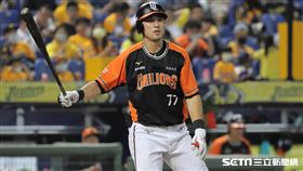 ▲統一獅外野手林安可。（圖／記者劉彥池攝影）