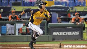 ▲中信兄弟外野手岳政華。（圖／記者劉彥池攝影）