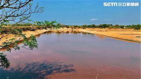 金門,粉紅湖,慈湖,新湖漁港,消波塊,秘境（讀者六一提供）