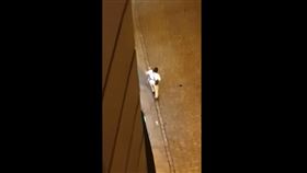 奧地利首都維也納爆街頭恐攻（圖／翻攝自推特）