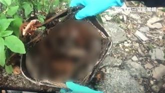 鐵桶藏白骨16年　警一句話他秒認罪