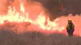 照片來源　草根