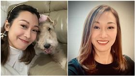 蓋世寶(翻攝自IG)