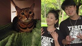 六月（圖／翻攝自臉書）