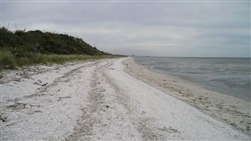 荒島上種啥CP值高？眾一面倒狂推這（圖／翻攝自Pixabay）