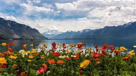 ▲日內瓦，瑞士法郎。（圖／翻攝自推特）