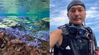 海底夢幻畫面曝　KID驚見殘酷亮點