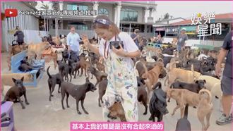 Selina探訪護生園　被浪犬簇擁