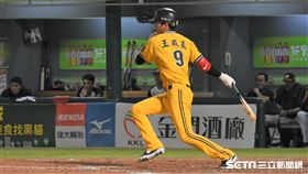  ▲中信兄弟三壘手王威晨敲出安打。（圖／記者王怡翔攝影）