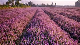 名家專用／台灣旅行趣（勿用）