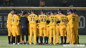 中信兄弟圍圈圈互相鼓勵。（資料圖／記者王怡翔攝影）