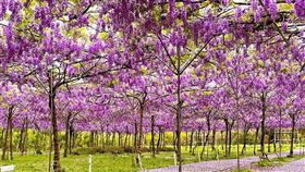 名家專用／台灣旅行趣（勿用）