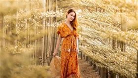 名家專用／台灣旅行趣（勿用）