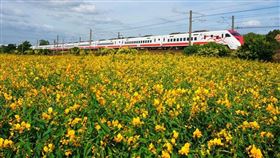 名家專用／台灣旅行趣（勿用）