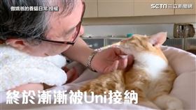 ▲▼「黃小四生活點滴」受託清理東海校內人工湖。（圖／傲嬌爸的養貓日常 授權）