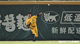 中信兄弟外野手岳政華。（圖／記者王怡翔攝影）