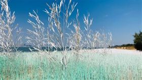 ▲想要來一趟浪漫輕旅行，不用出國，金門就有「白色秘境」。（圖／業者提供）
