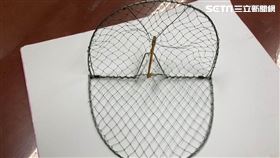 新北,動保處,麻雀,抓鳥 新北市政府提供