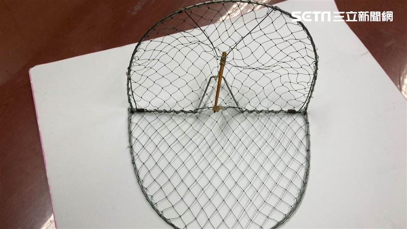 男設陷阱想抓麻雀　當場被逮下場慘了