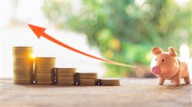 名家專用／Money錢（勿用）