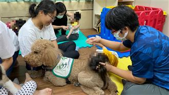 真的能療癒　治療犬讓身心障礙者好轉