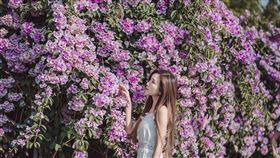 名家專用／台灣旅行趣（勿用）