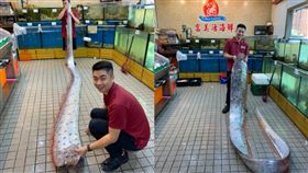 南澳捕獲近5公尺地震魚　漁民驚呆（圖／富美餐廳提供）