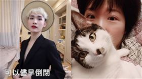 鍾明軒 廣告小妹/翻攝自yt