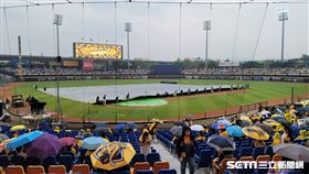洲際球場賽前下雨拉起大帆布。(圖／記者劉彥池攝影)